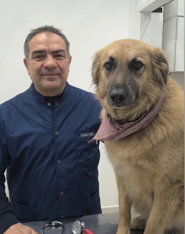 Claudio Tosetti, veterinario y cirujano